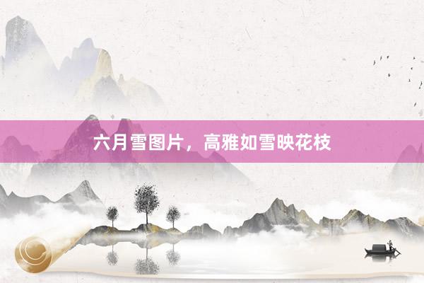 六月雪图片，高雅如雪映花枝