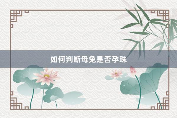 如何判断母兔是否孕珠