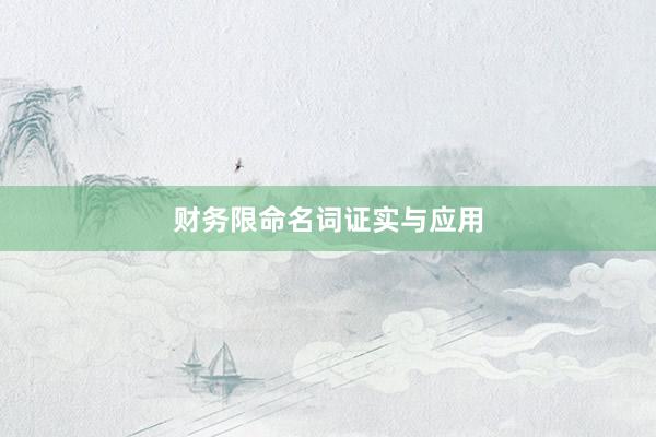 财务限命名词证实与应用